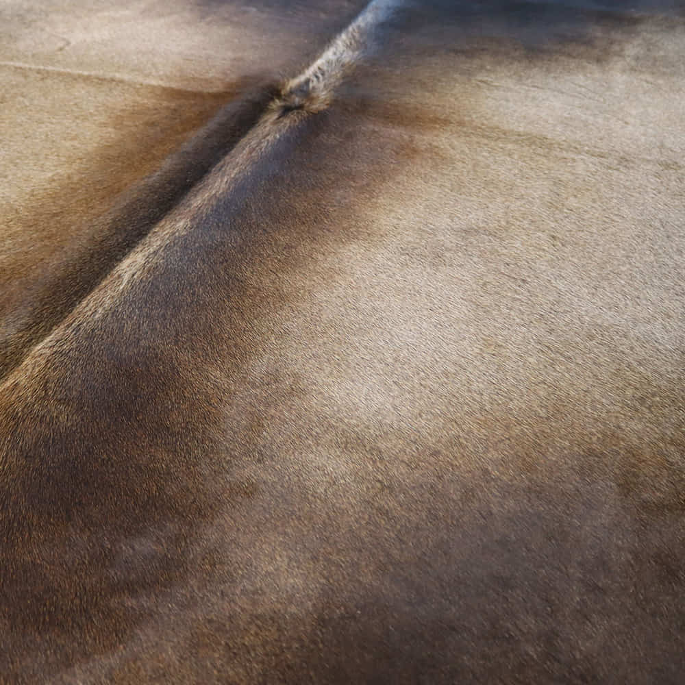 Hovězí kůže Reddish 190 × 190 cm, SKU 631 – fotografie 2